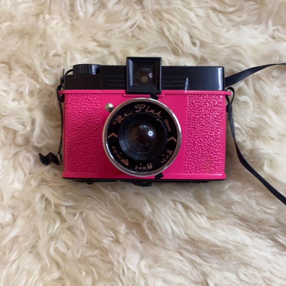 Diana F + Mr. pink 120 film make an offer
